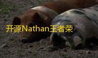 开源Nathan王者荣耀个性语音包查询源码